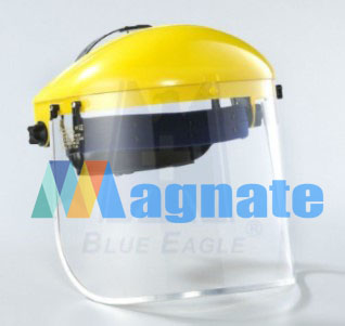Blue Eagle Browguard w/ FC 48
